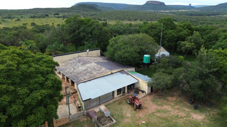 DCIM101MEDIADJI_0631