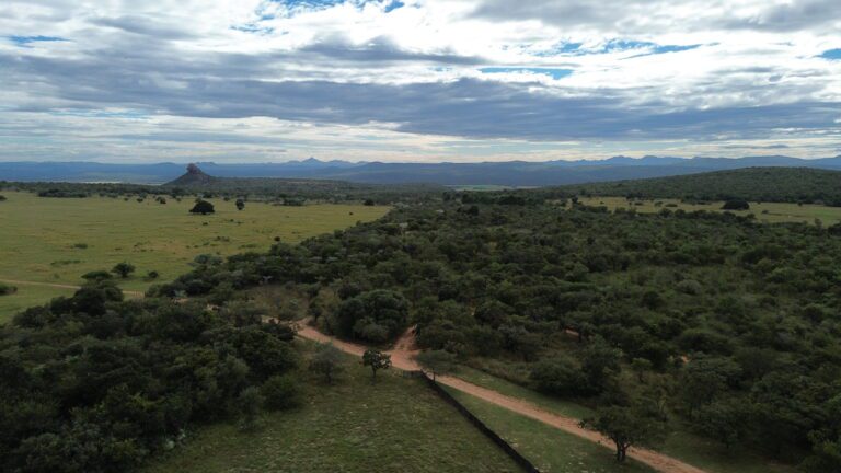 DCIM101MEDIADJI_0632