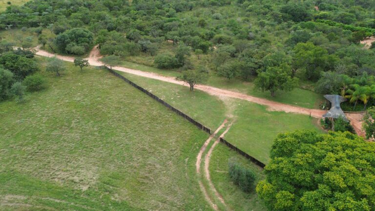 DCIM101MEDIADJI_0633