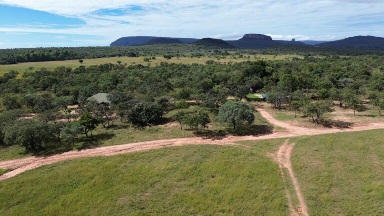 DCIM101MEDIADJI_0637