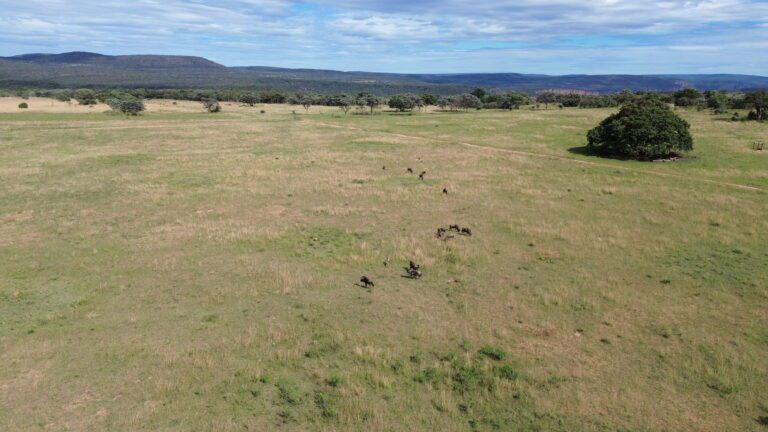 DCIM101MEDIADJI_0639