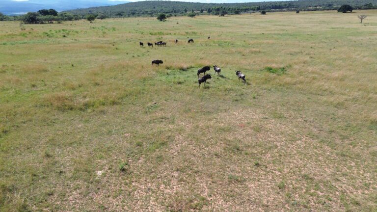 DCIM101MEDIADJI_0641