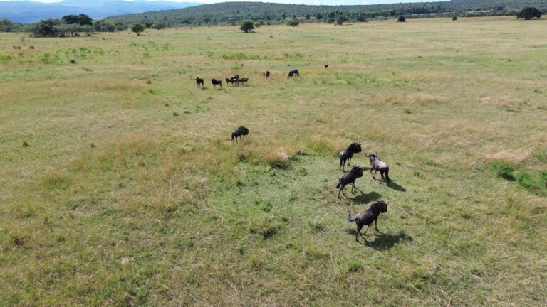 DCIM101MEDIADJI_0642