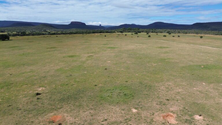 DCIM101MEDIADJI_0643