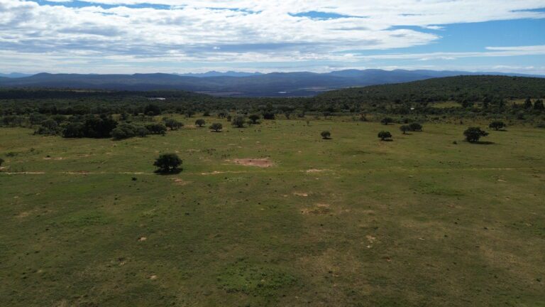 DCIM101MEDIADJI_0644