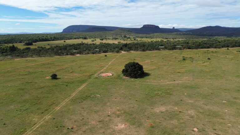 DCIM101MEDIADJI_0645