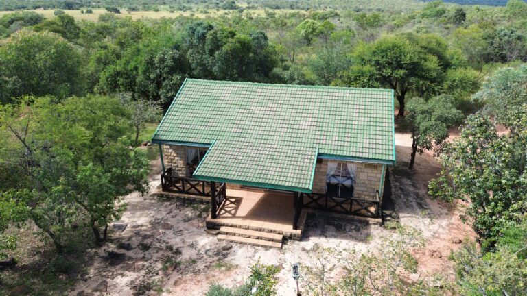 DCIM101MEDIADJI_0647