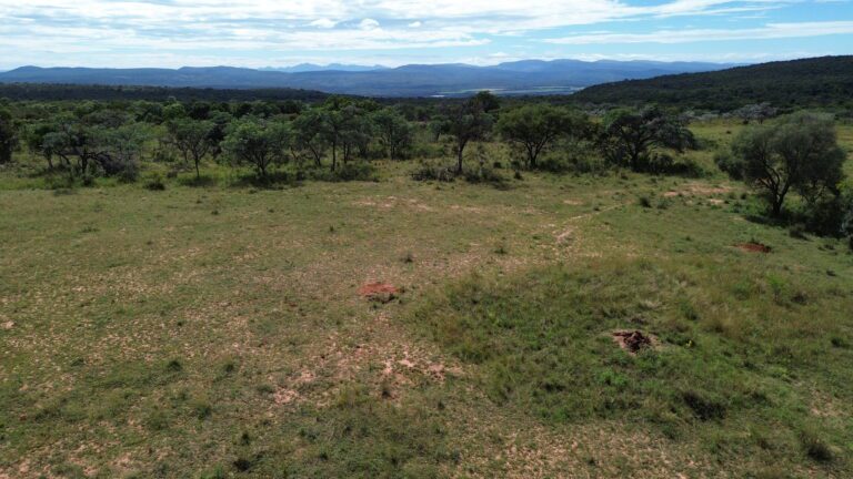 DCIM101MEDIADJI_0648