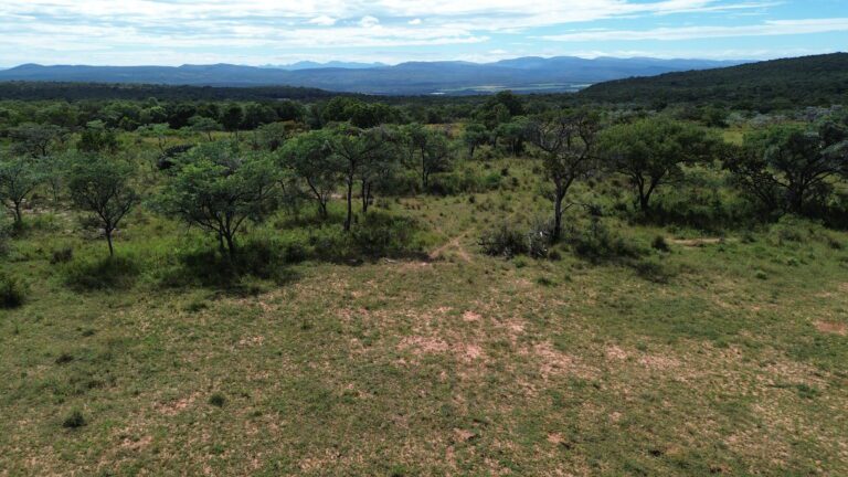 DCIM101MEDIADJI_0649