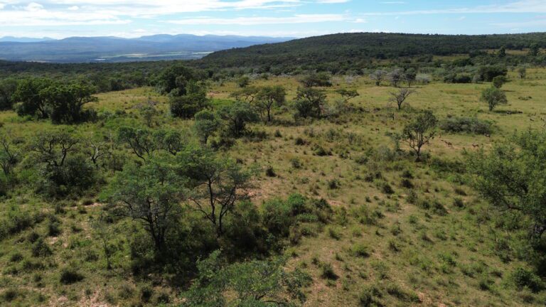 DCIM101MEDIADJI_0650