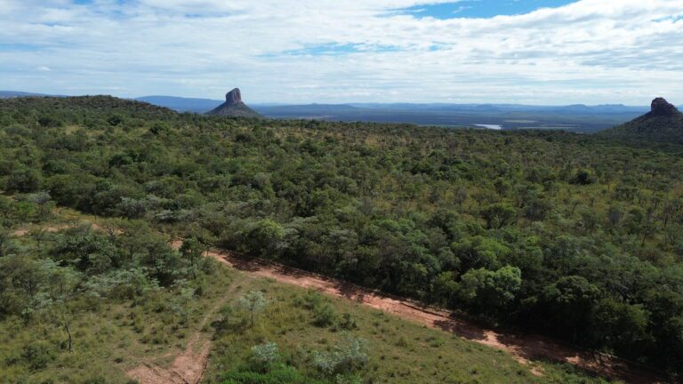 DCIM101MEDIADJI_0652