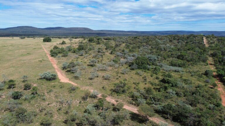 DCIM101MEDIADJI_0653