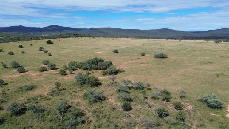 DCIM101MEDIADJI_0654