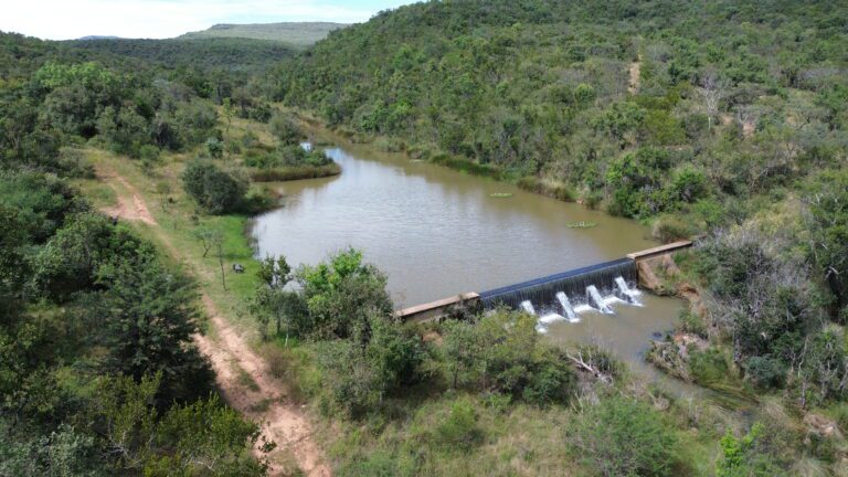 DCIM101MEDIADJI_0655