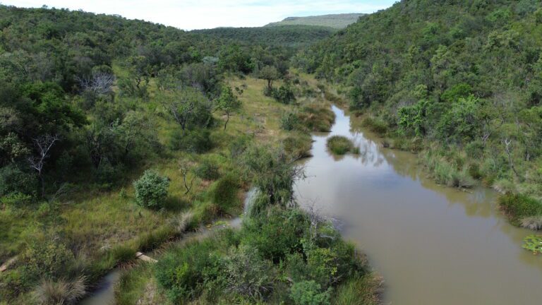 DCIM101MEDIADJI_0656