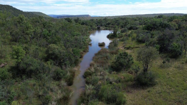 DCIM101MEDIADJI_0658