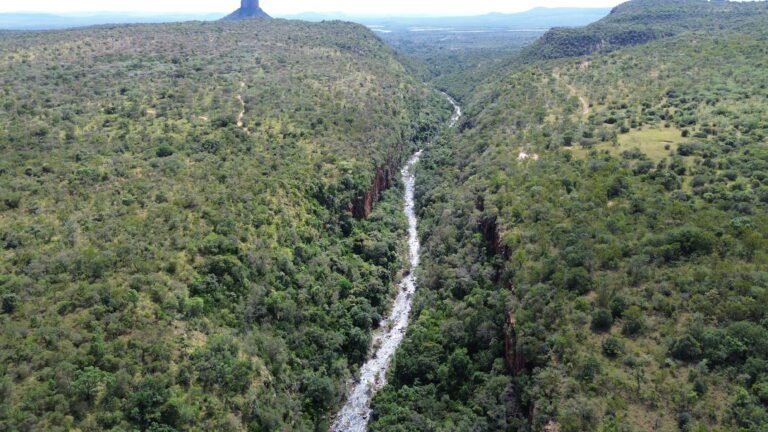 DCIM101MEDIADJI_0660