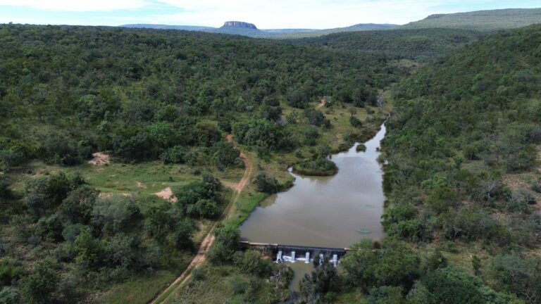 DCIM101MEDIADJI_0666