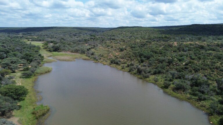 DCIM101MEDIADJI_0694