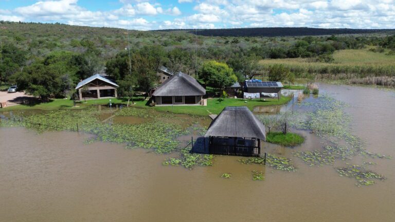 DCIM101MEDIADJI_0762