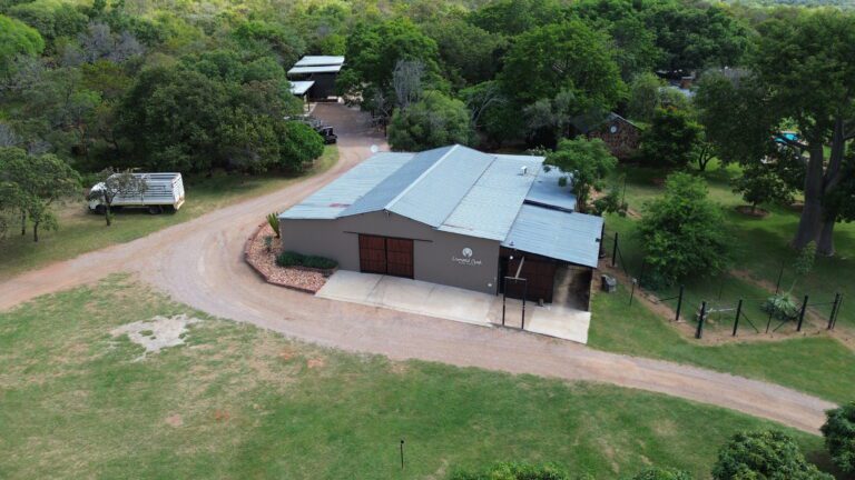 DCIM101MEDIADJI_0773