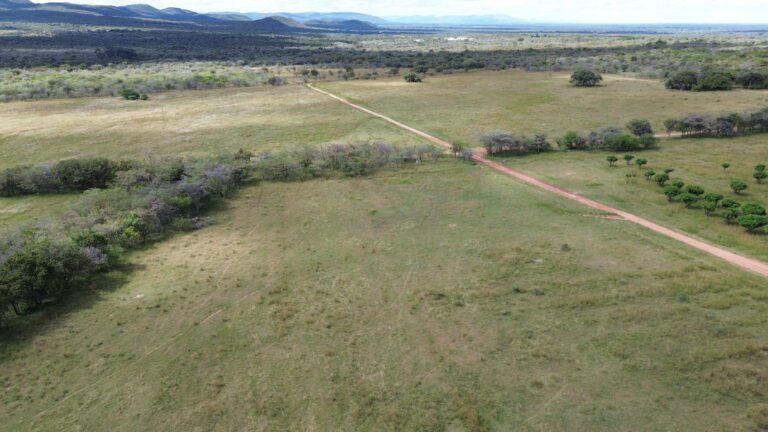 DCIM101MEDIADJI_0778