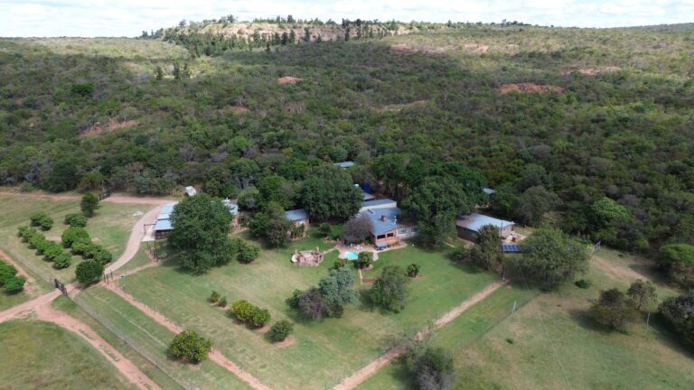 DCIM101MEDIADJI_0779