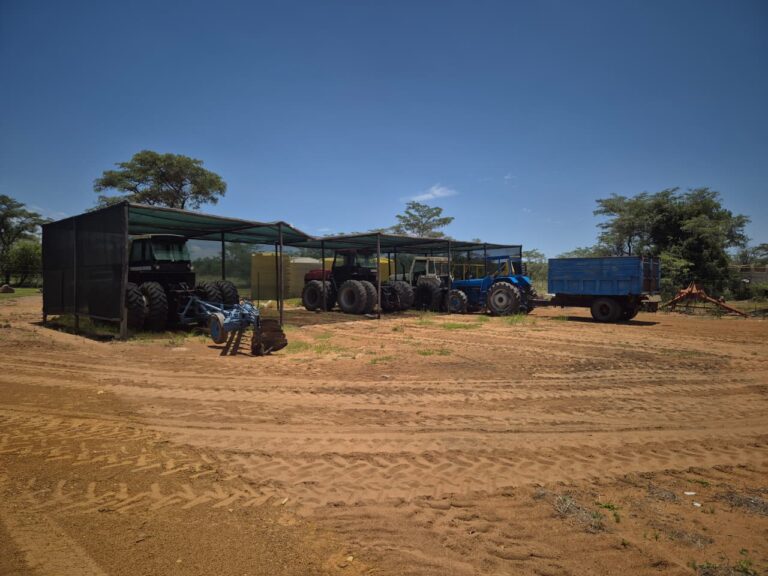 WhatsApp Image 2026-01-27 at 11.19