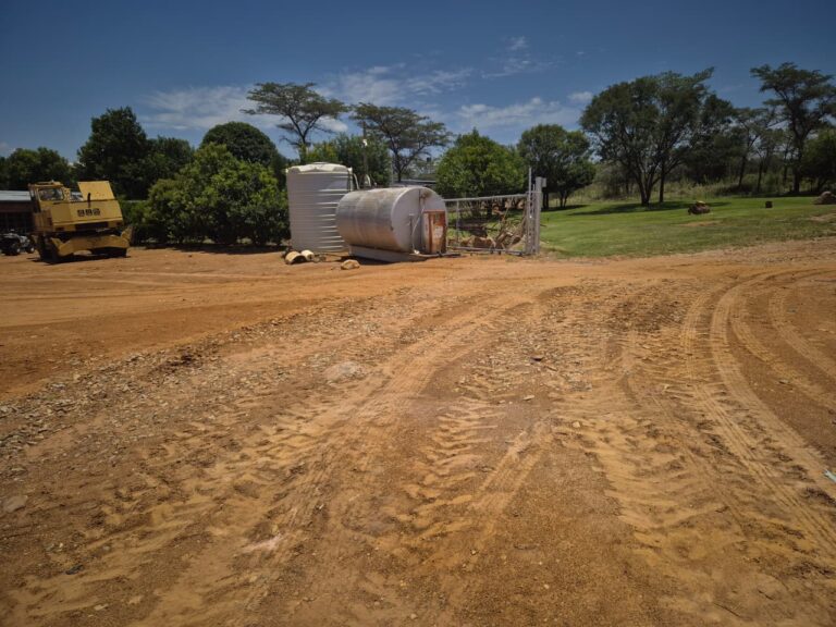 WhatsApp Image 2026-01-27 at 11.19