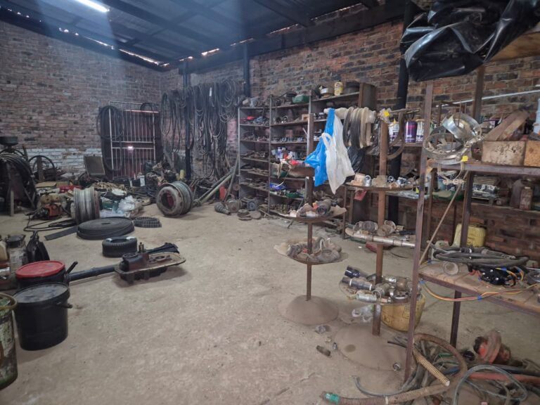 WhatsApp Image 2026-01-27 at 11.19