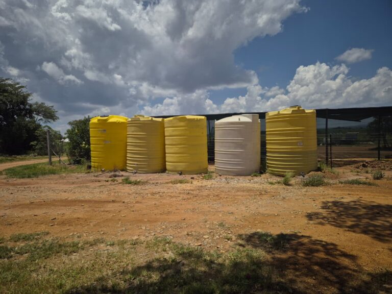 WhatsApp Image 2026-01-27 at 11.19