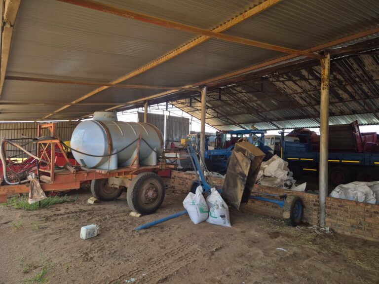 WhatsApp Image 2026-01-27 at 11.19