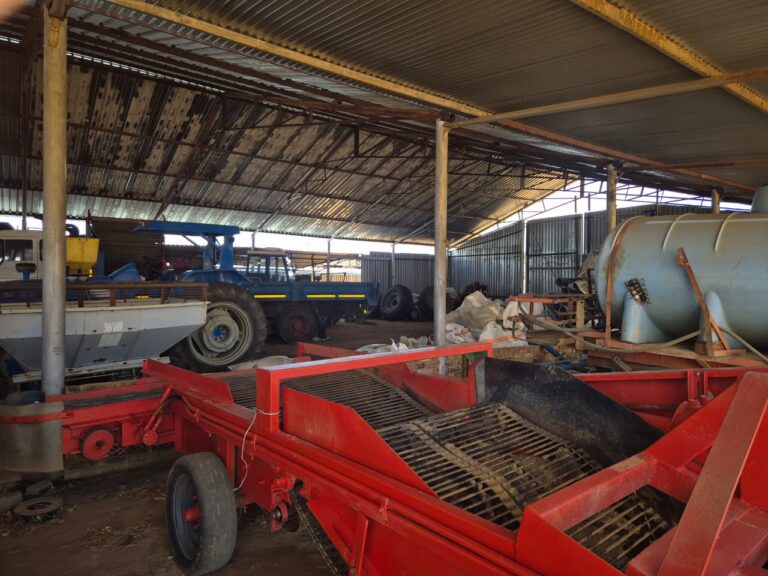 WhatsApp Image 2026-01-27 at 11.19