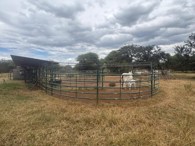 WhatsApp Image 2026-02-25 at 08.18