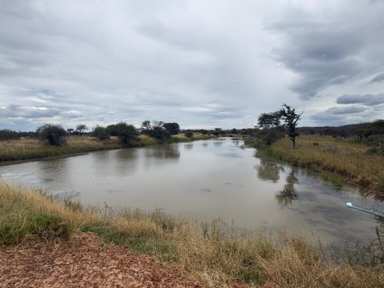 WhatsApp Image 2026-02-25 at 08.18