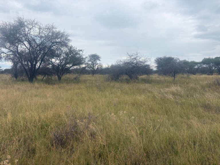 WhatsApp Image 2026-02-25 at 08.18