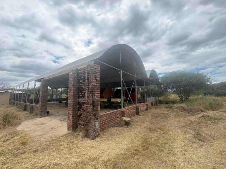 WhatsApp Image 2026-02-25 at 08.18