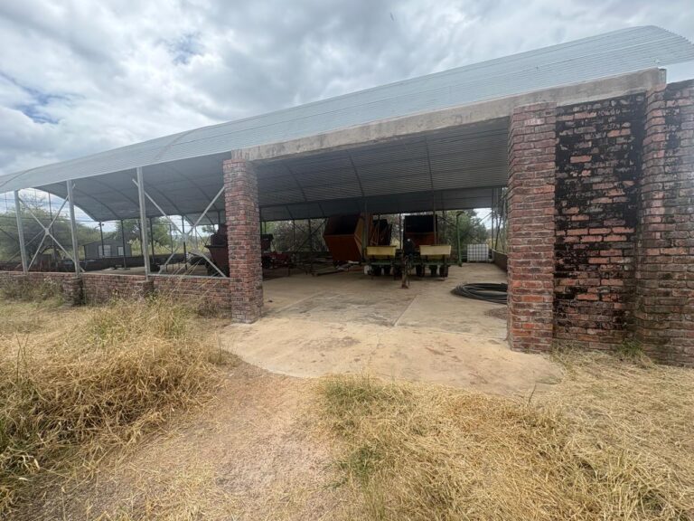 WhatsApp Image 2026-02-25 at 08.18