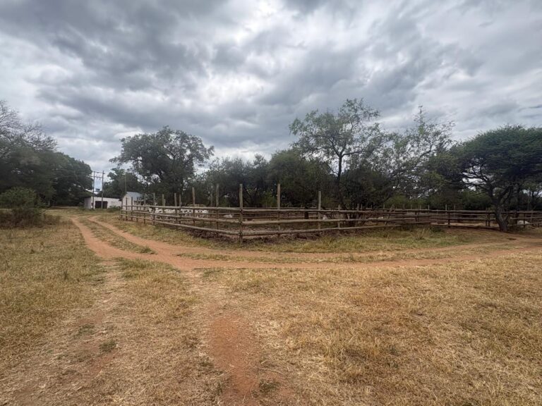 WhatsApp Image 2026-02-25 at 08.18