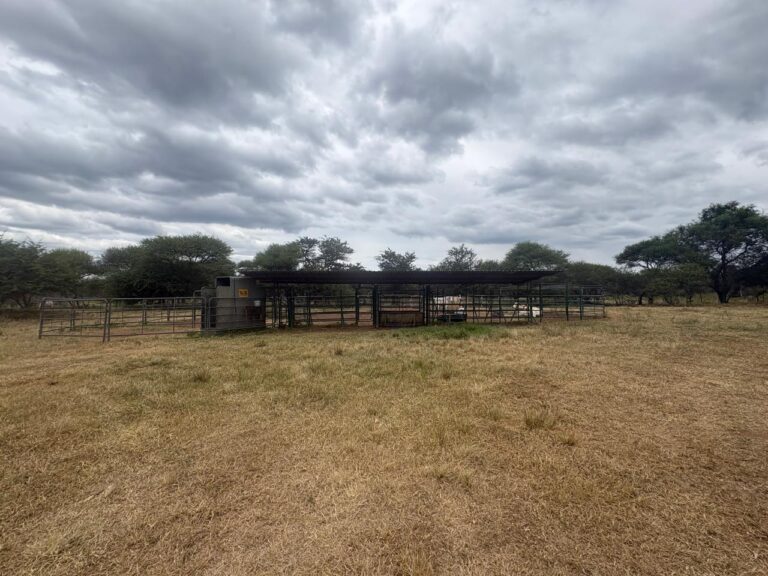 WhatsApp Image 2026-02-25 at 08.18