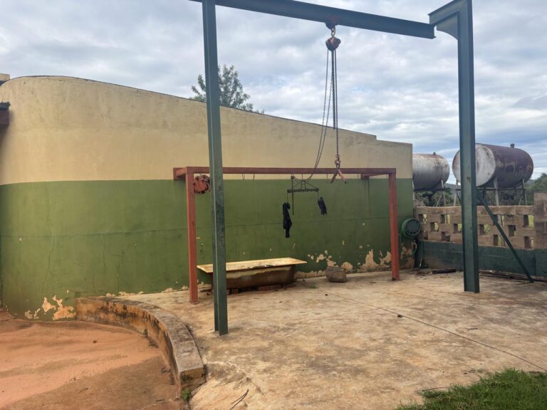 WhatsApp Image 2026-03-09 at 15.30