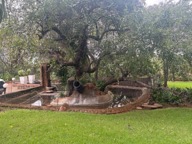 WhatsApp Image 2026-03-09 at 15.30