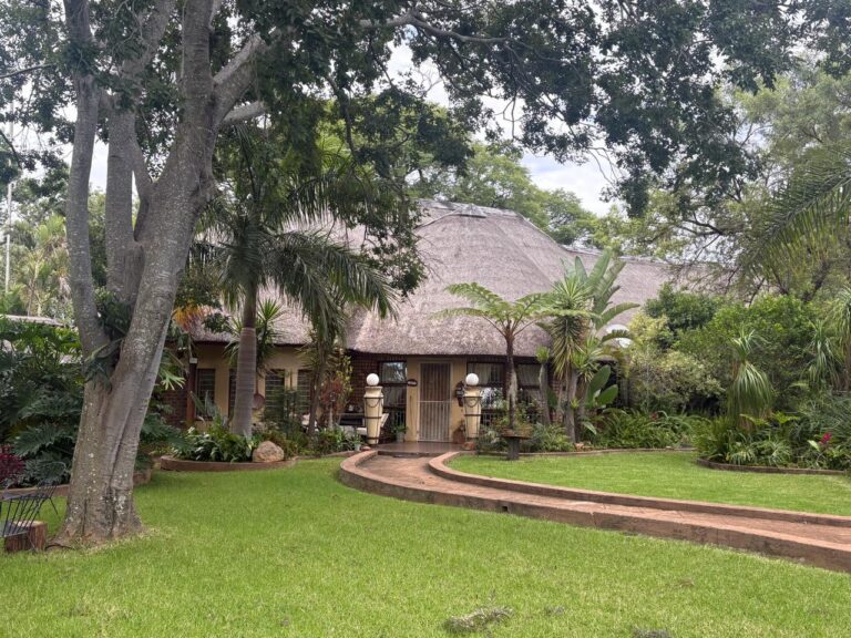 WhatsApp Image 2026-03-09 at 15.30