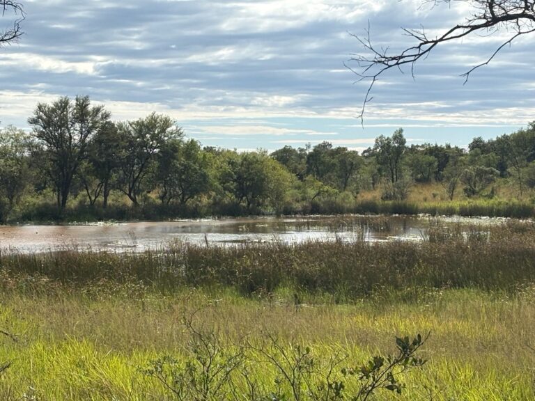 WhatsApp Image 2026-03-09 at 15.31