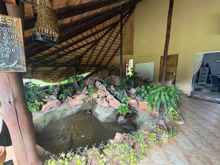 WhatsApp Image 2026-03-09 at 15.31