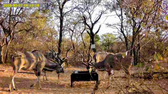 WhatsApp Image 2026-04-08 at 12.28