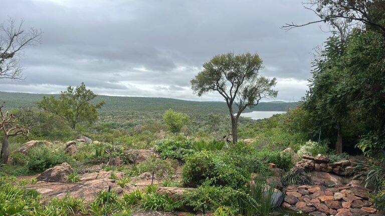 WhatsApp Image 2026-04-08 at 12.28