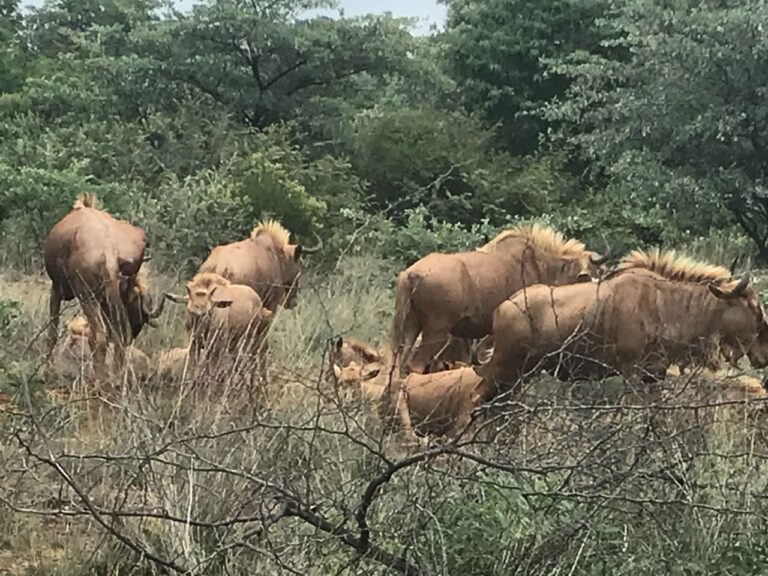 WhatsApp Image 2026-04-08 at 12.31