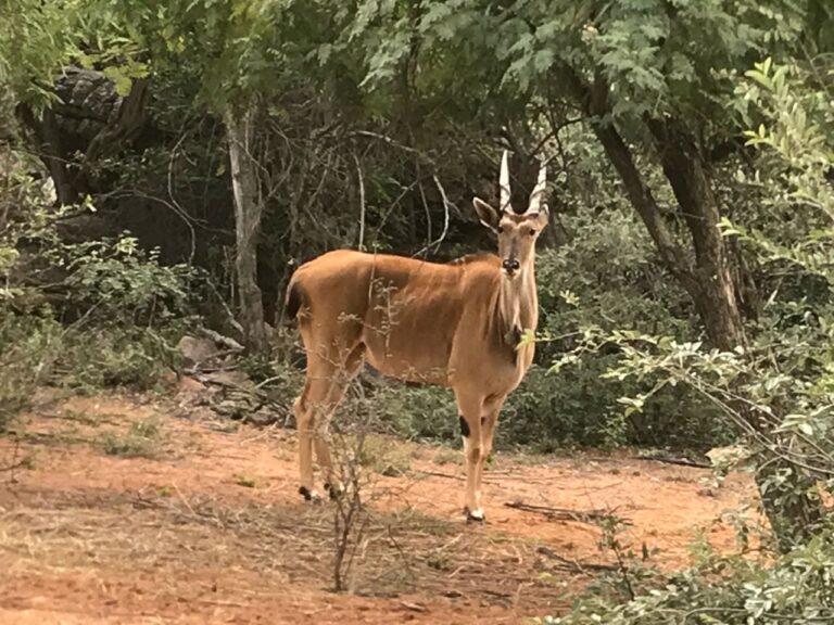 WhatsApp Image 2026-04-08 at 12.31