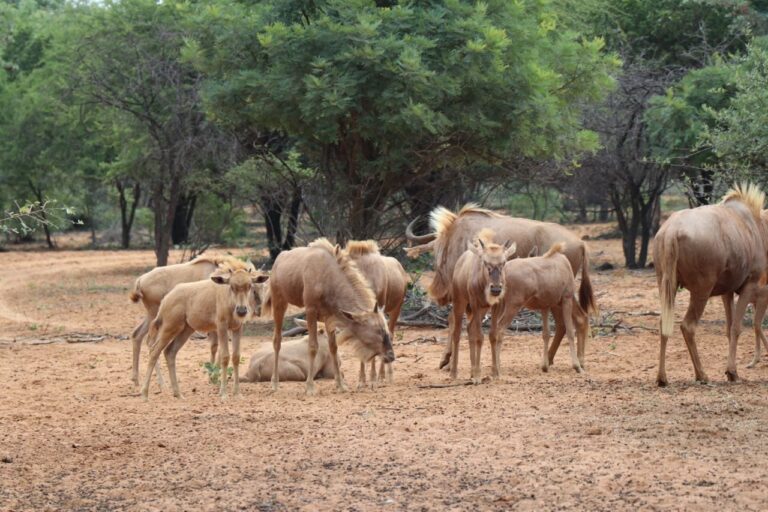 WhatsApp Image 2026-04-08 at 12.31